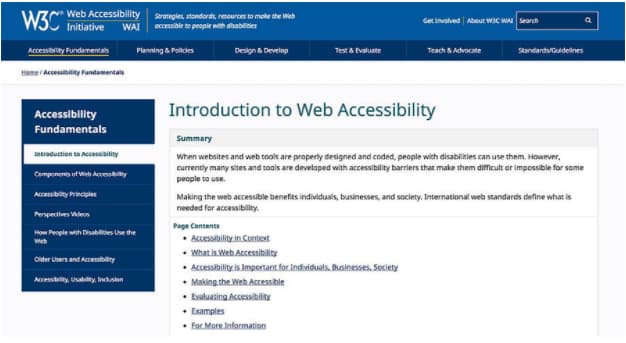 what is accessibility of website