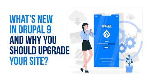 upgrade site to latest drupal 9 version